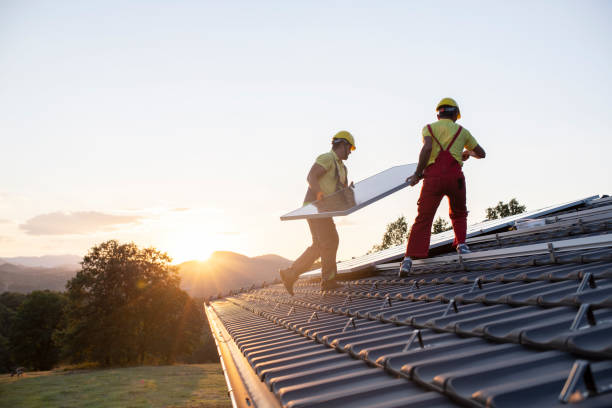 Best Roof Moss and Algae Removal  in Highland, IN